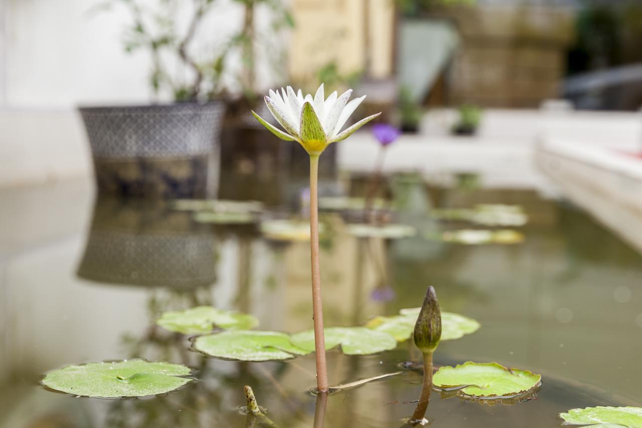 Central Boutique Hotel Vientiane Luaran gambar